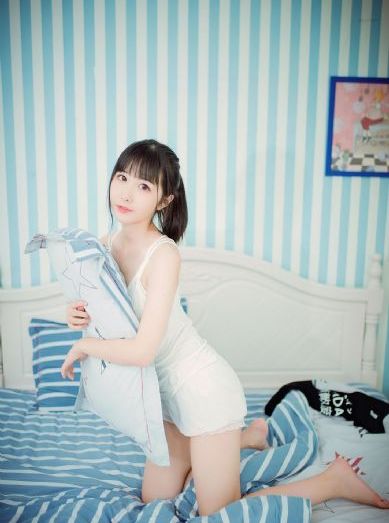 茶狐杯copfox官网