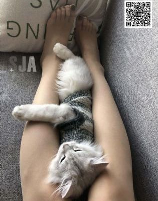 电影不忠