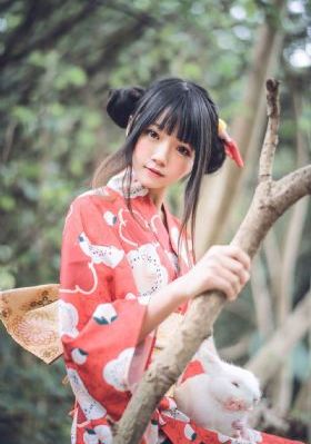 神圣骑士