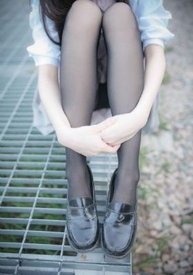 拉布拉多警长146集