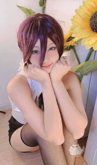 石之海免费观看全集