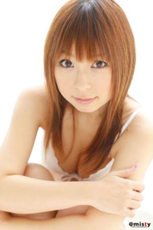 会长是女仆大人免费观看完整版