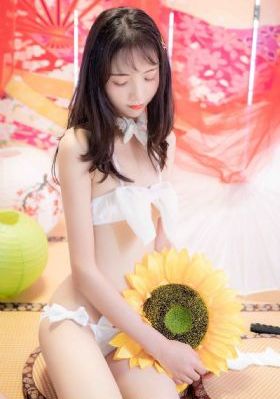 我的团长我的团免费高清在线观看